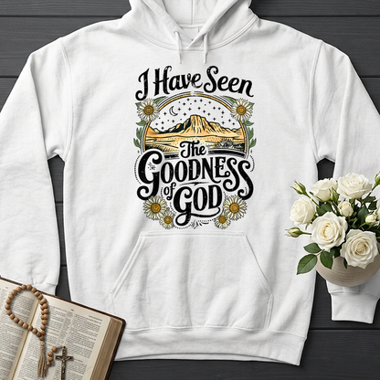 I Have Seen The Goodness Of God 02
