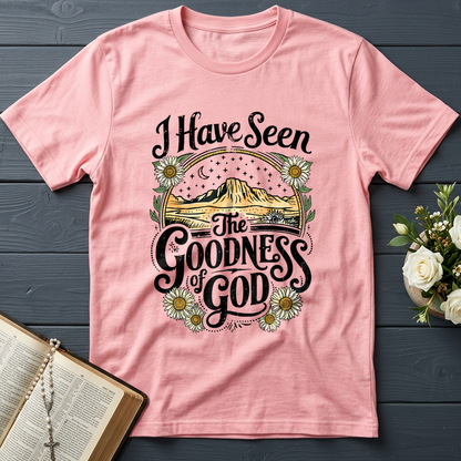 I Have Seen The Goodness Of God 02