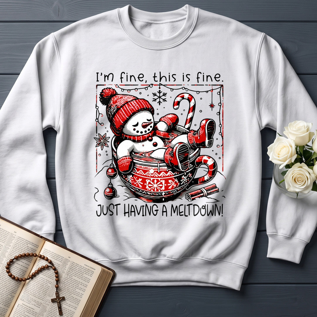 I'm Fine This Is Just Having A Meltdown 01