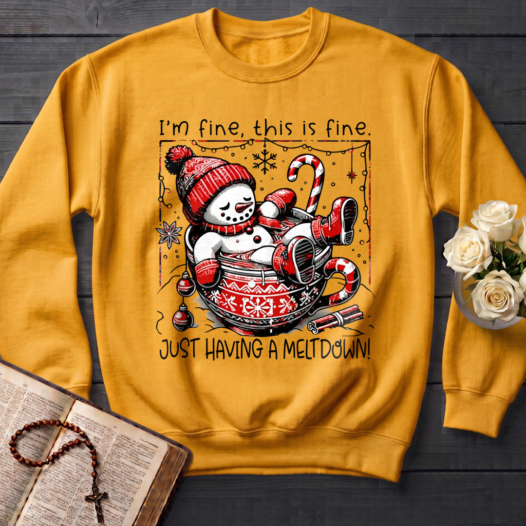 I'm Fine This Is Just Having A Meltdown 01