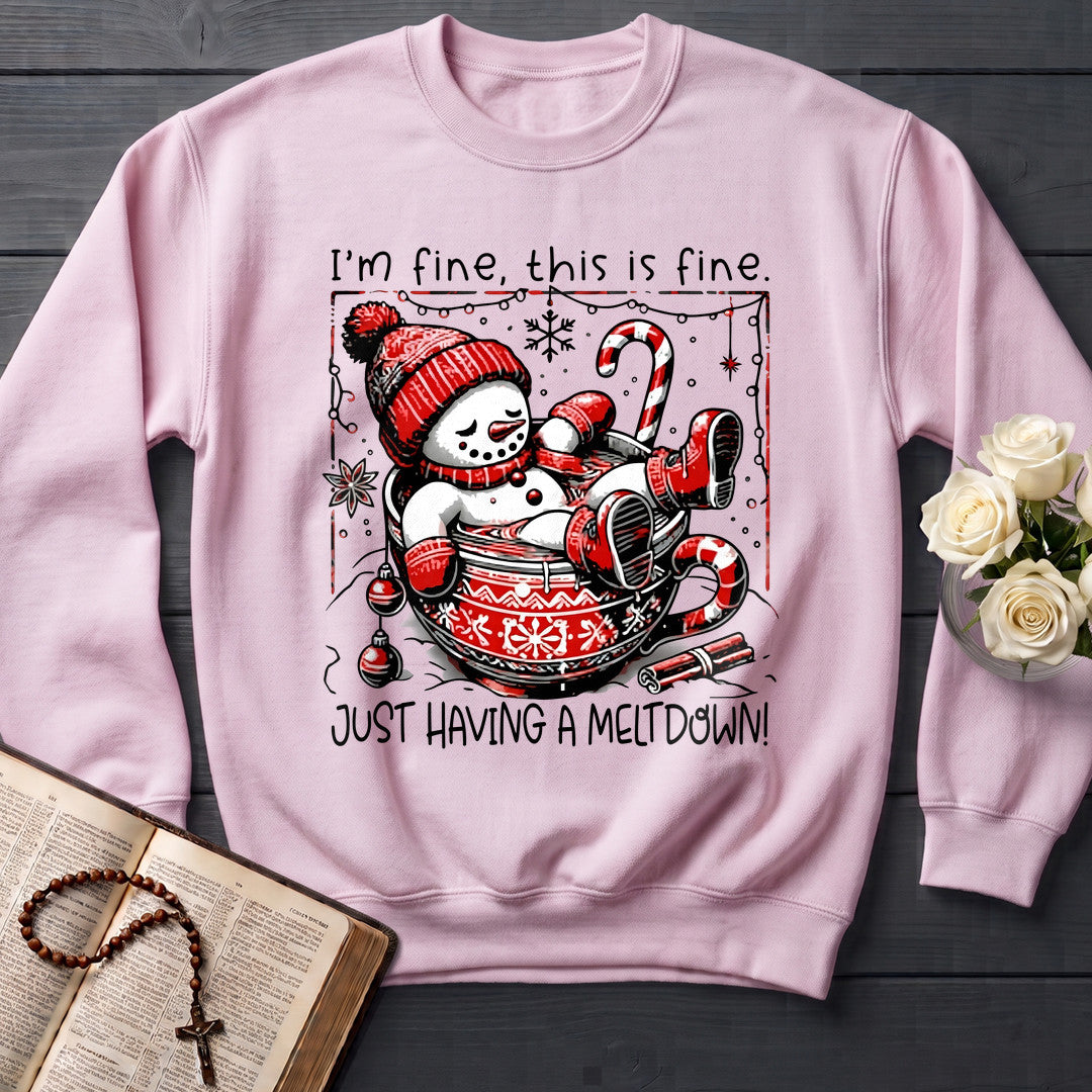 I'm Fine This Is Just Having A Meltdown 01