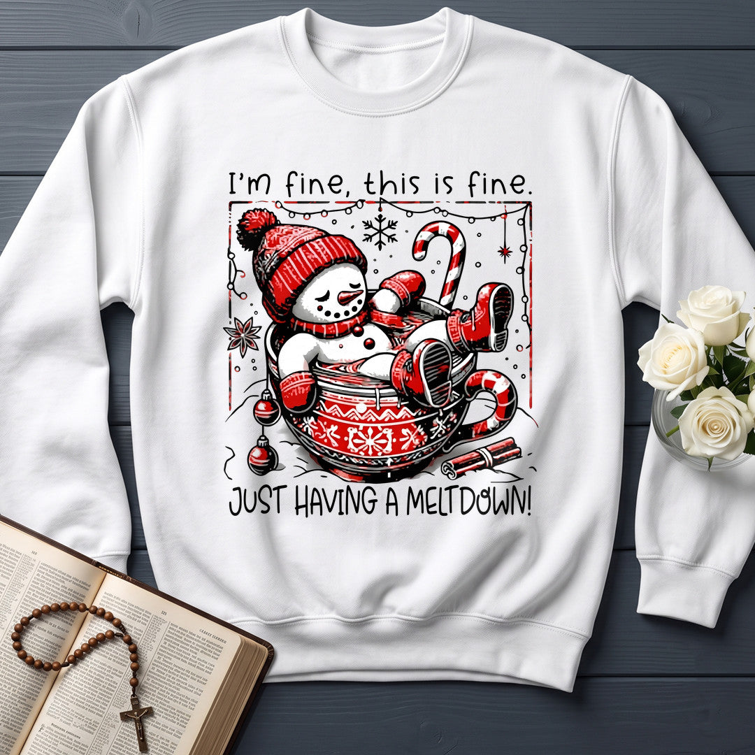 I'm Fine This Is Just Having A Meltdown 01