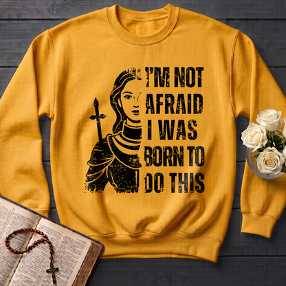 I'm Not Afraid I Was Born To Do This 01