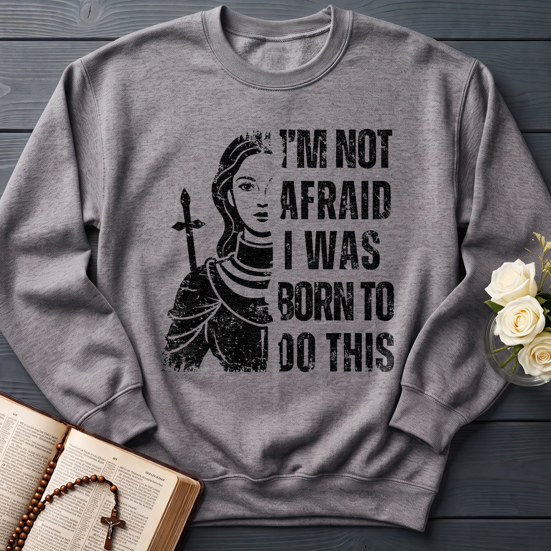 I'm Not Afraid I Was Born To Do This 01