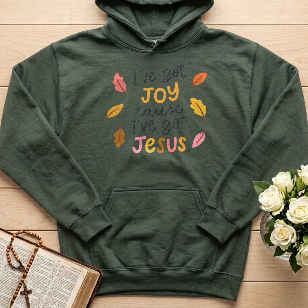 I'Ve Got Joy Cause I'Ve Got Jesus 01