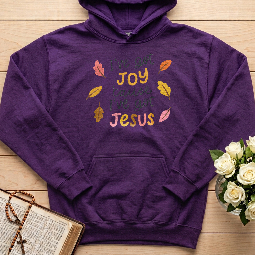 I'Ve Got Joy Cause I'Ve Got Jesus 01