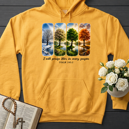 I Will Praise Him In Every Season Psalm 146.2 03