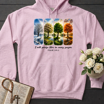 I Will Praise Him In Every Season Psalm 146.2 03