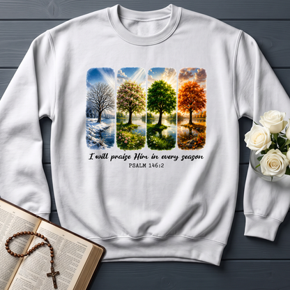 I Will Praise Him In Every Season Psalm 146.2 03