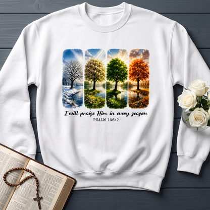 I Will Praise Him In Every Season Psalm 146.2 03