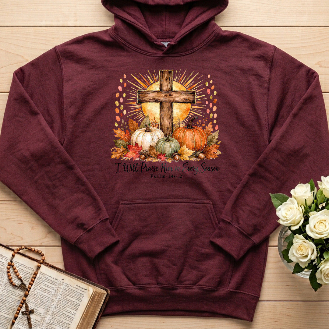 I Will Praise Him In Every Season Psalm 146.2 10