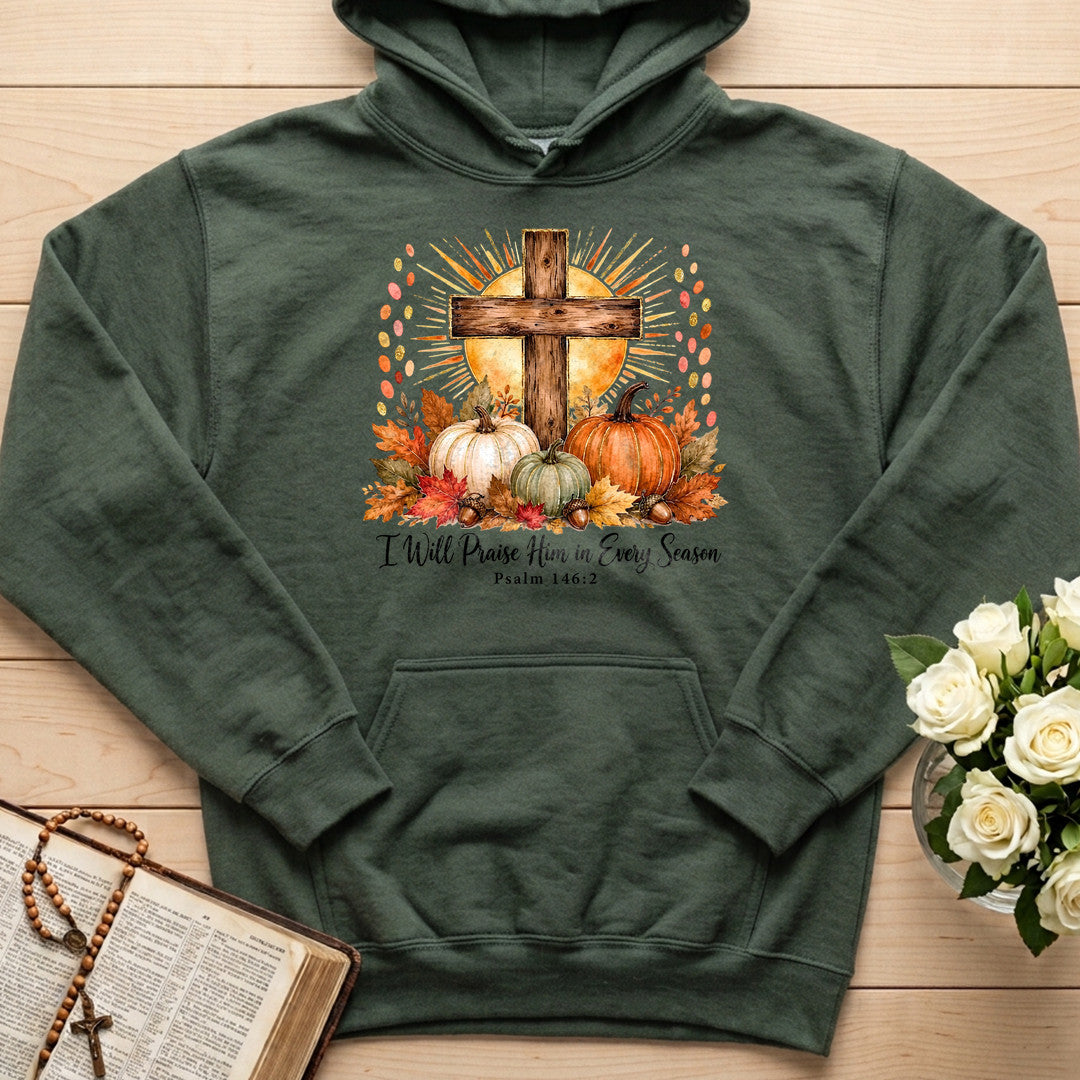 I Will Praise Him In Every Season Psalm 146.2 10