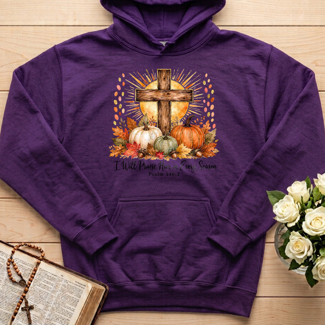 I Will Praise Him In Every Season Psalm 146.2 10