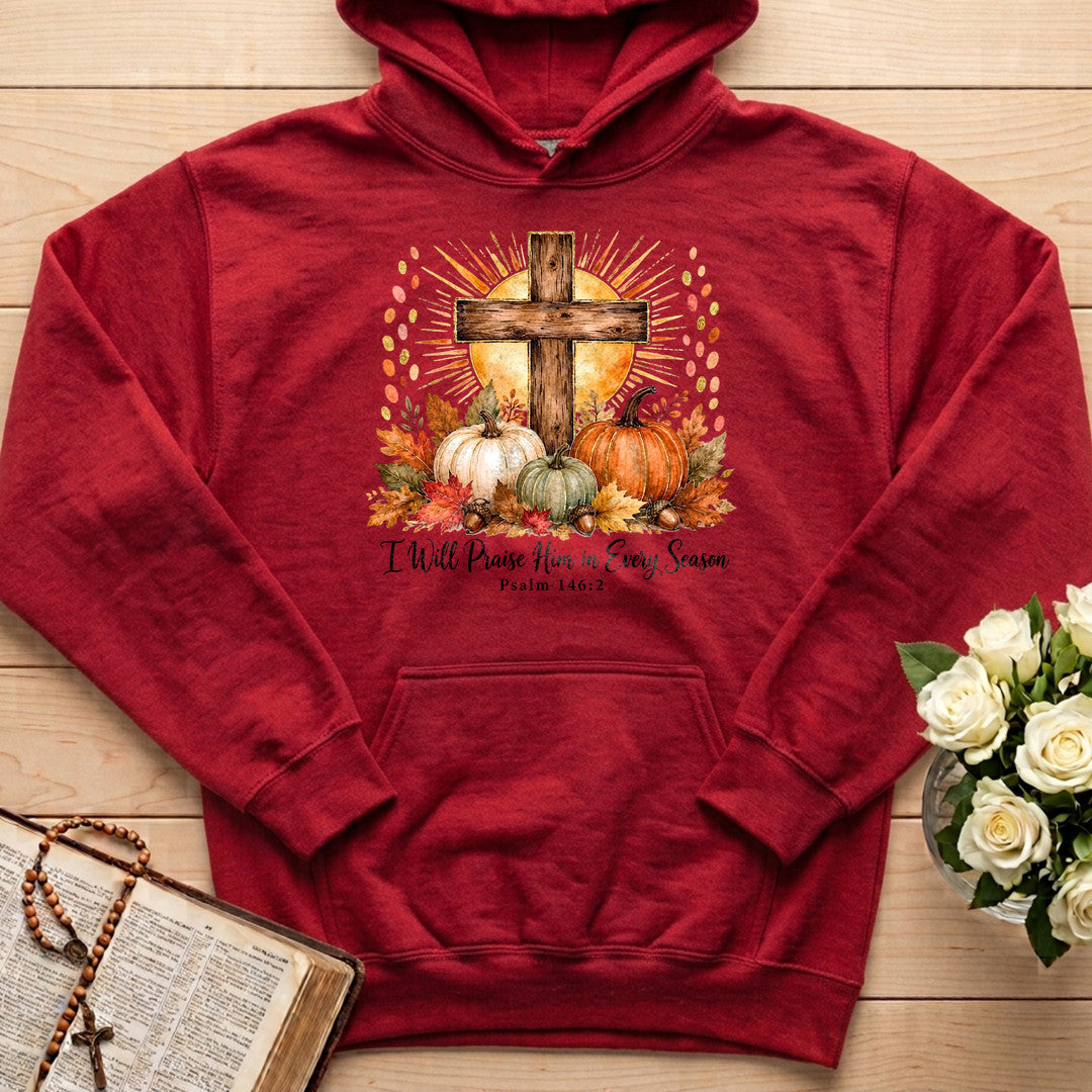 I Will Praise Him In Every Season Psalm 146.2 10