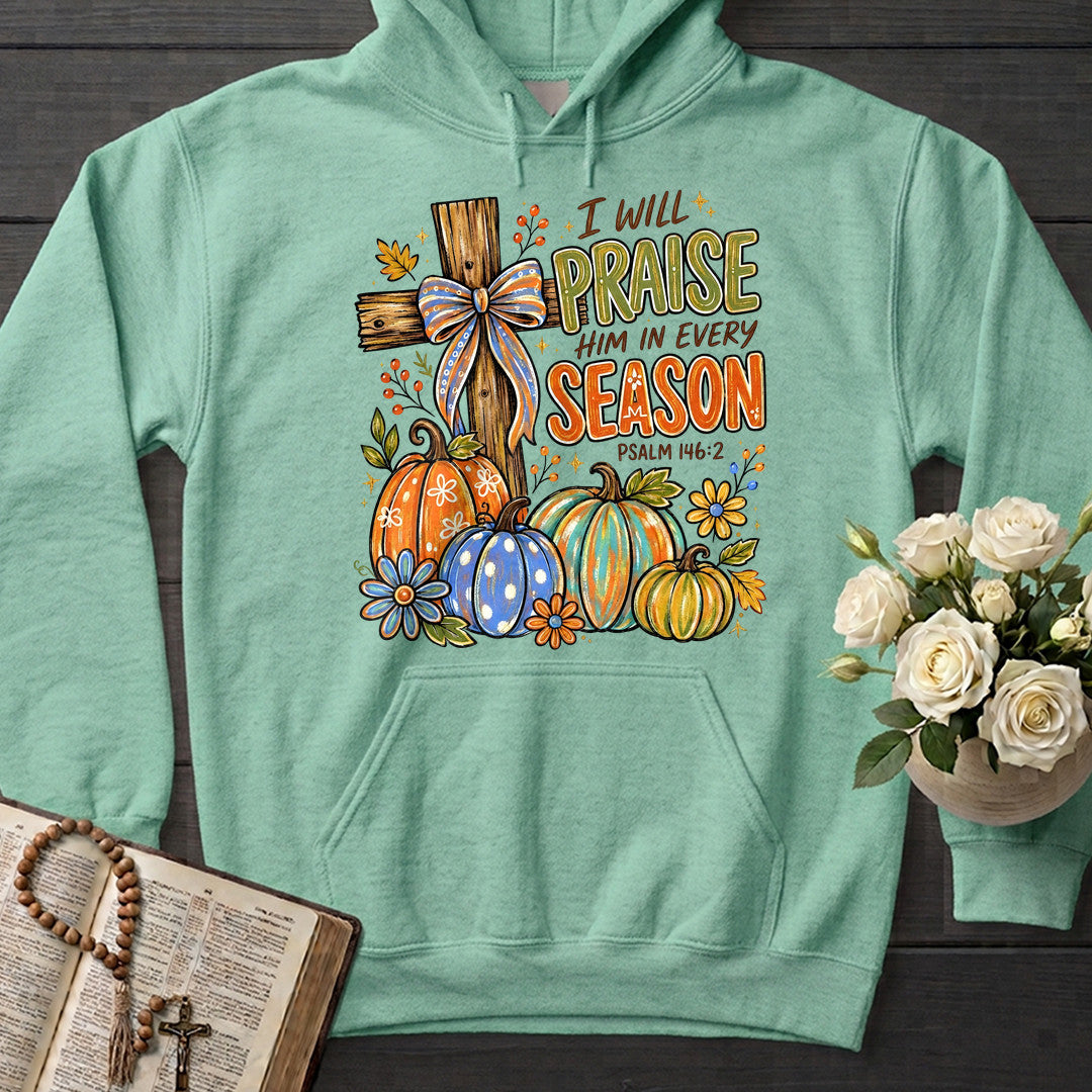 I Will Praise Him In Every Season Psalm 146.2 11