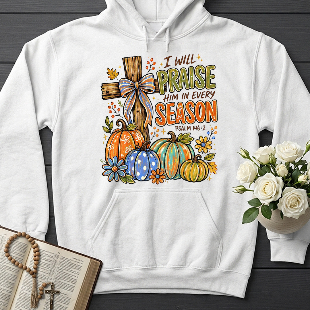 I Will Praise Him In Every Season Psalm 146.2 11