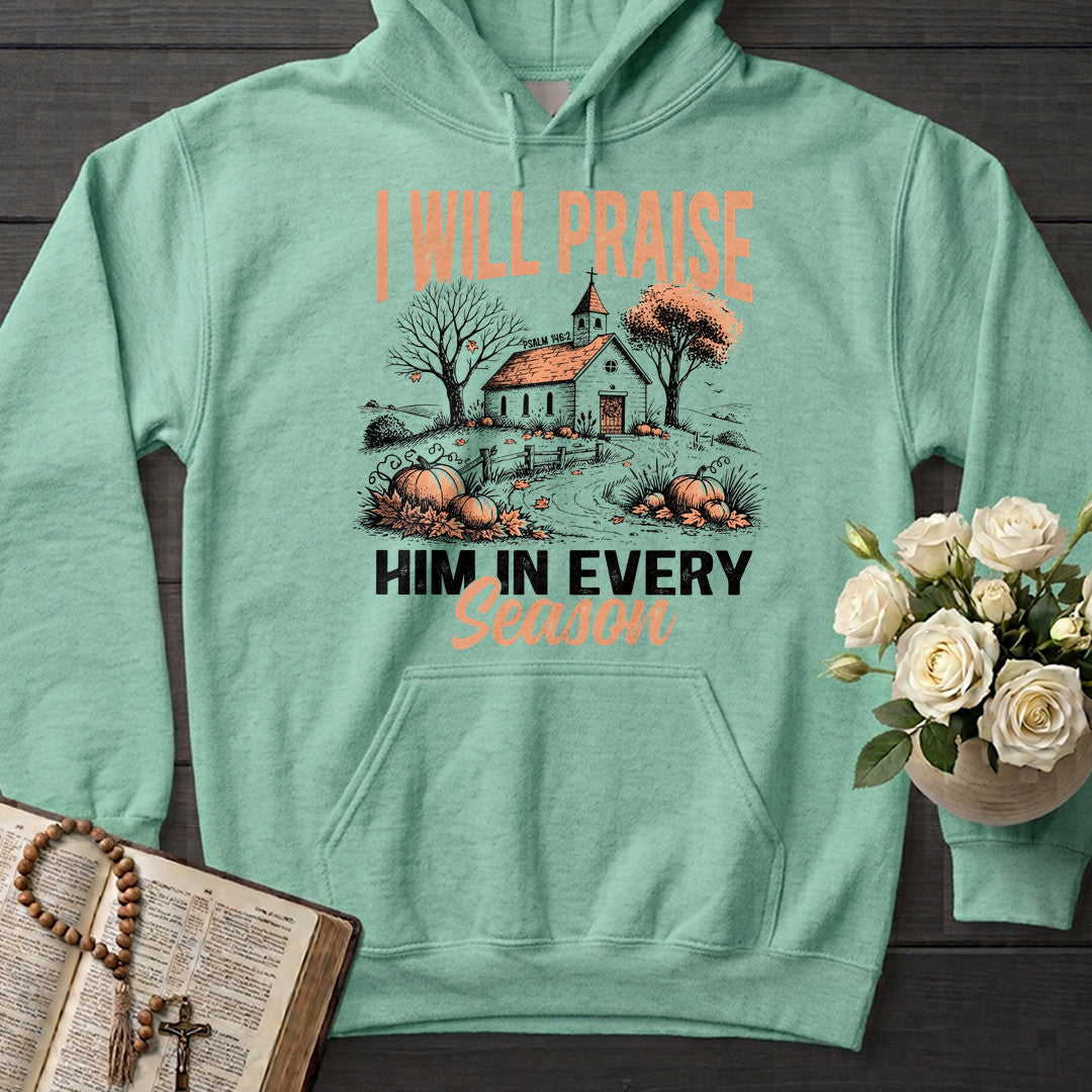 I Will Praise Him In Every Season Psalm 146.2 12