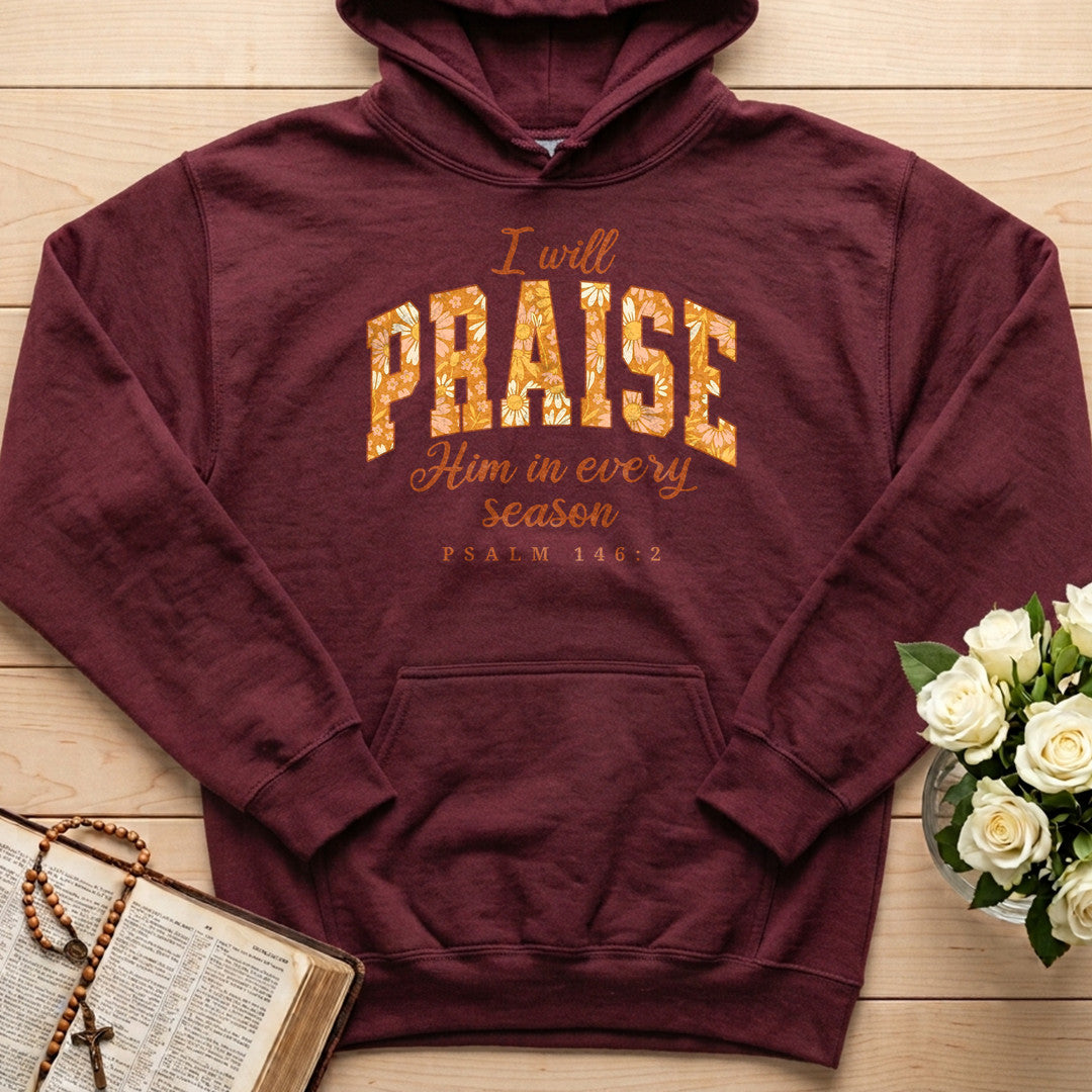 I Will Praise Him In Every Season Psalm 146.2 15