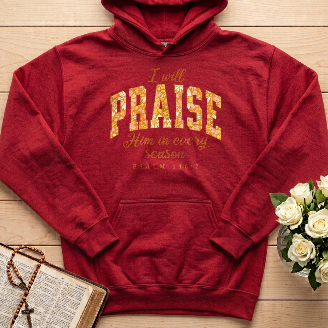 I Will Praise Him In Every Season Psalm 146.2 15