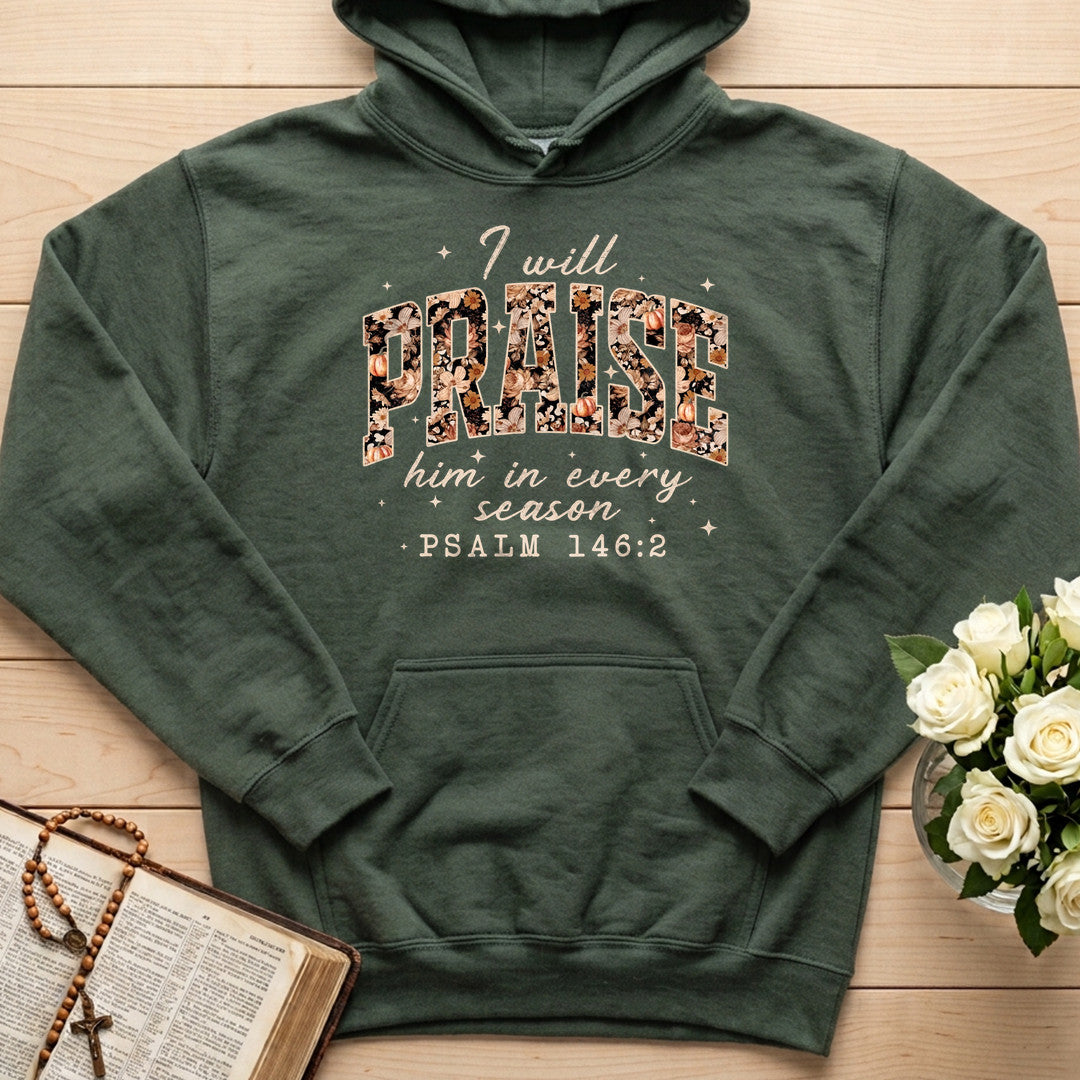 I Will Praise Him In Every Season Psalm 146.2 16