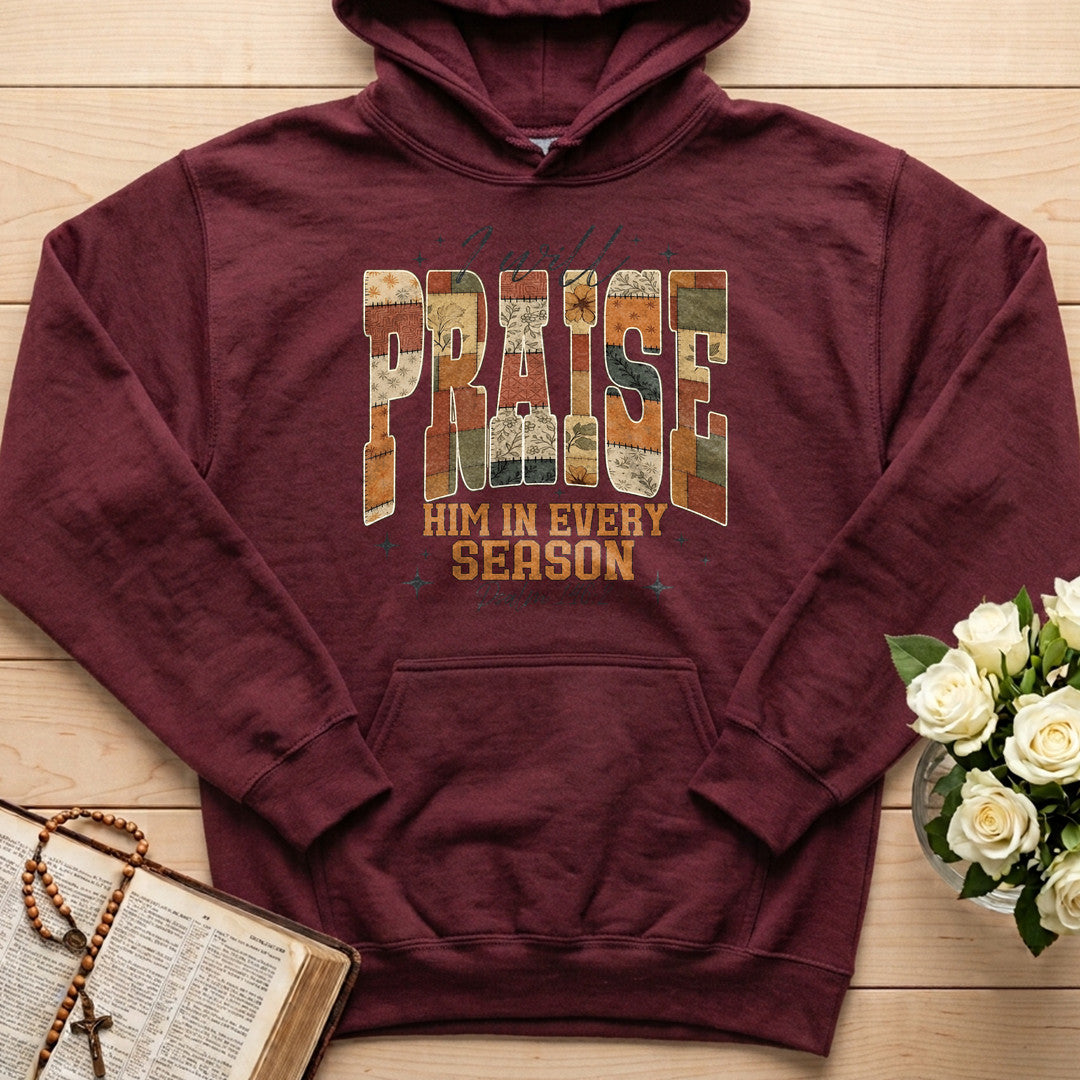 I Will Praise Him In Every Season Psalm 146.2 17