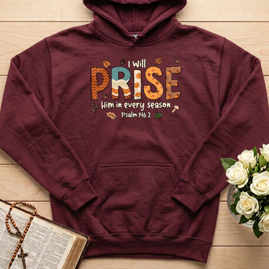 I Will Praise Him In Every Season Psalm 146.2 26