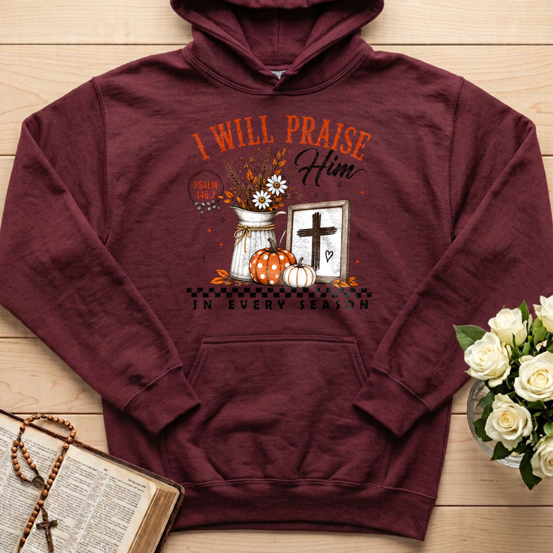 I Will Praise Him In Every Season Psalm 146.2 32