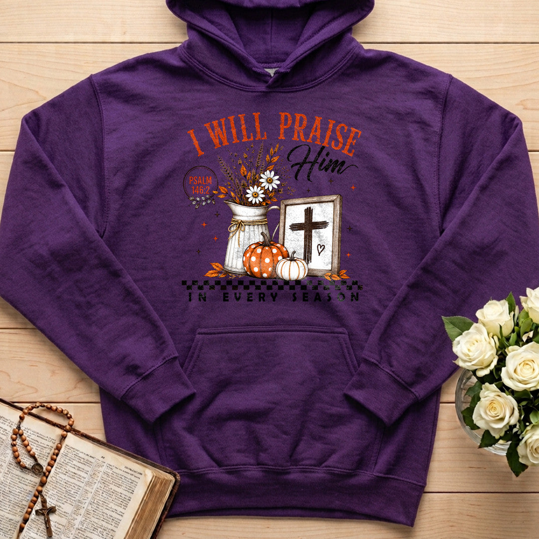I Will Praise Him In Every Season Psalm 146.2 32
