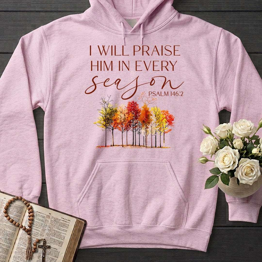 I Will Praise Him In Every Season Psalm 146.2 34