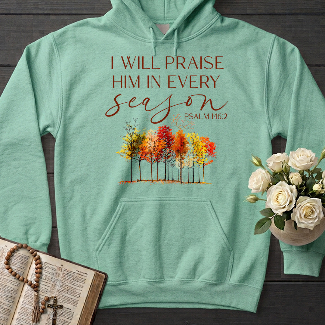 I Will Praise Him In Every Season Psalm 146.2 34