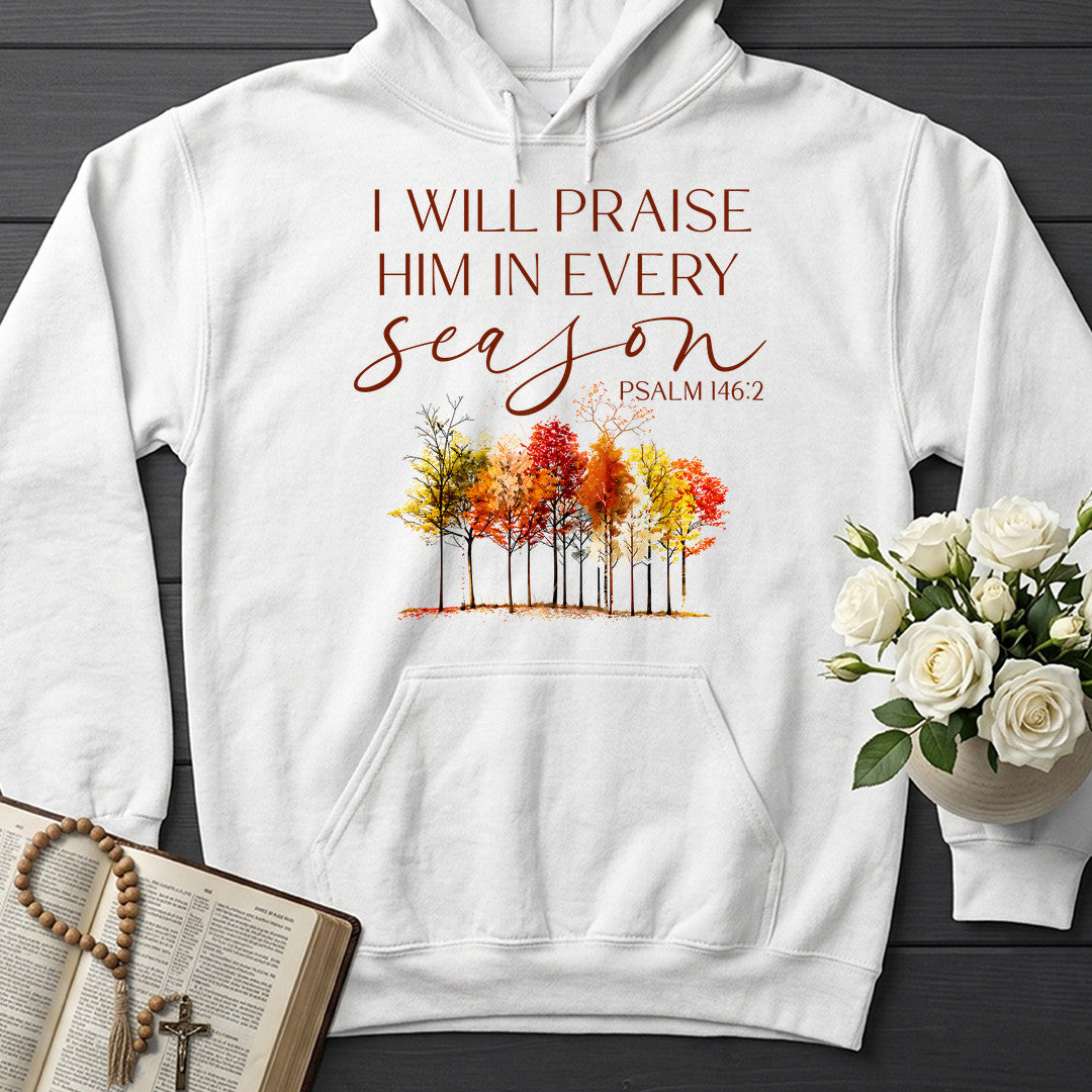I Will Praise Him In Every Season Psalm 146.2 34