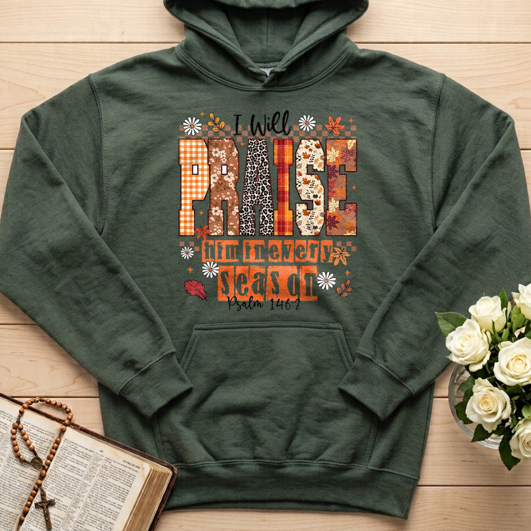 I Will Praise Him In Every Season Psalm 146.2 35
