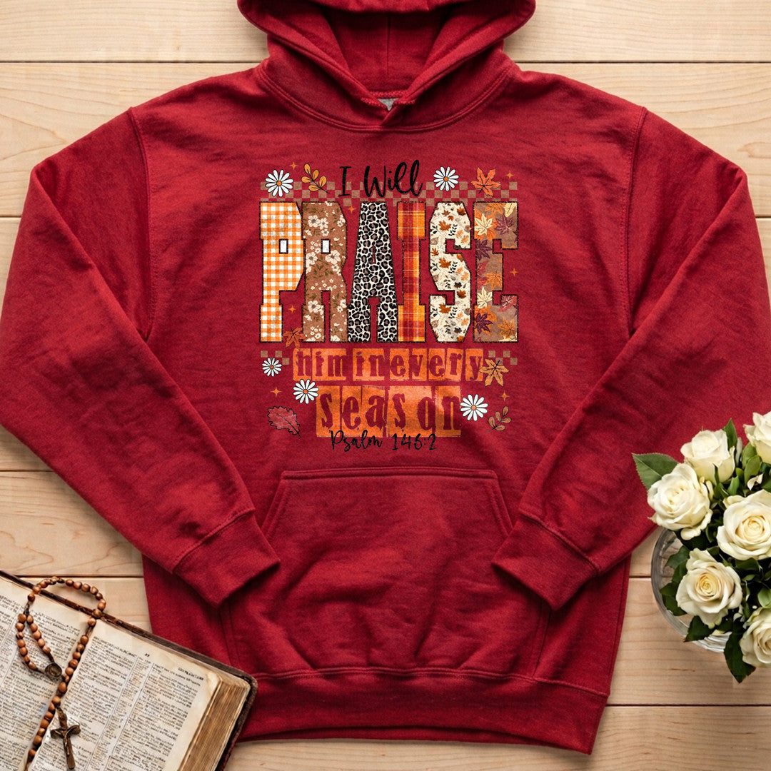 I Will Praise Him In Every Season Psalm 146.2 35