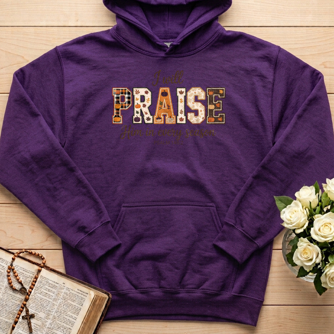 I Will Praise Him In Every Season Psalm 146.2 36