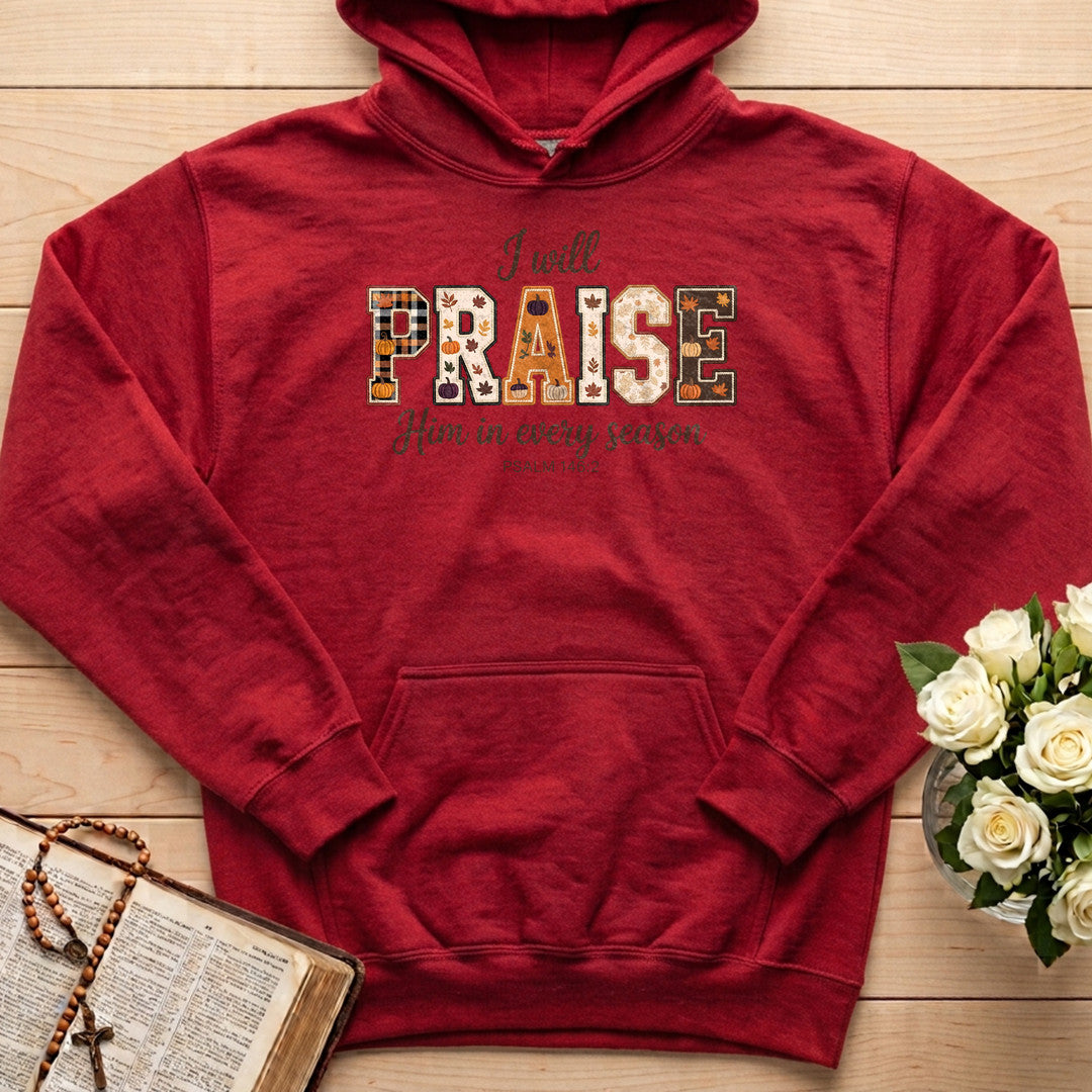 I Will Praise Him In Every Season Psalm 146.2 36