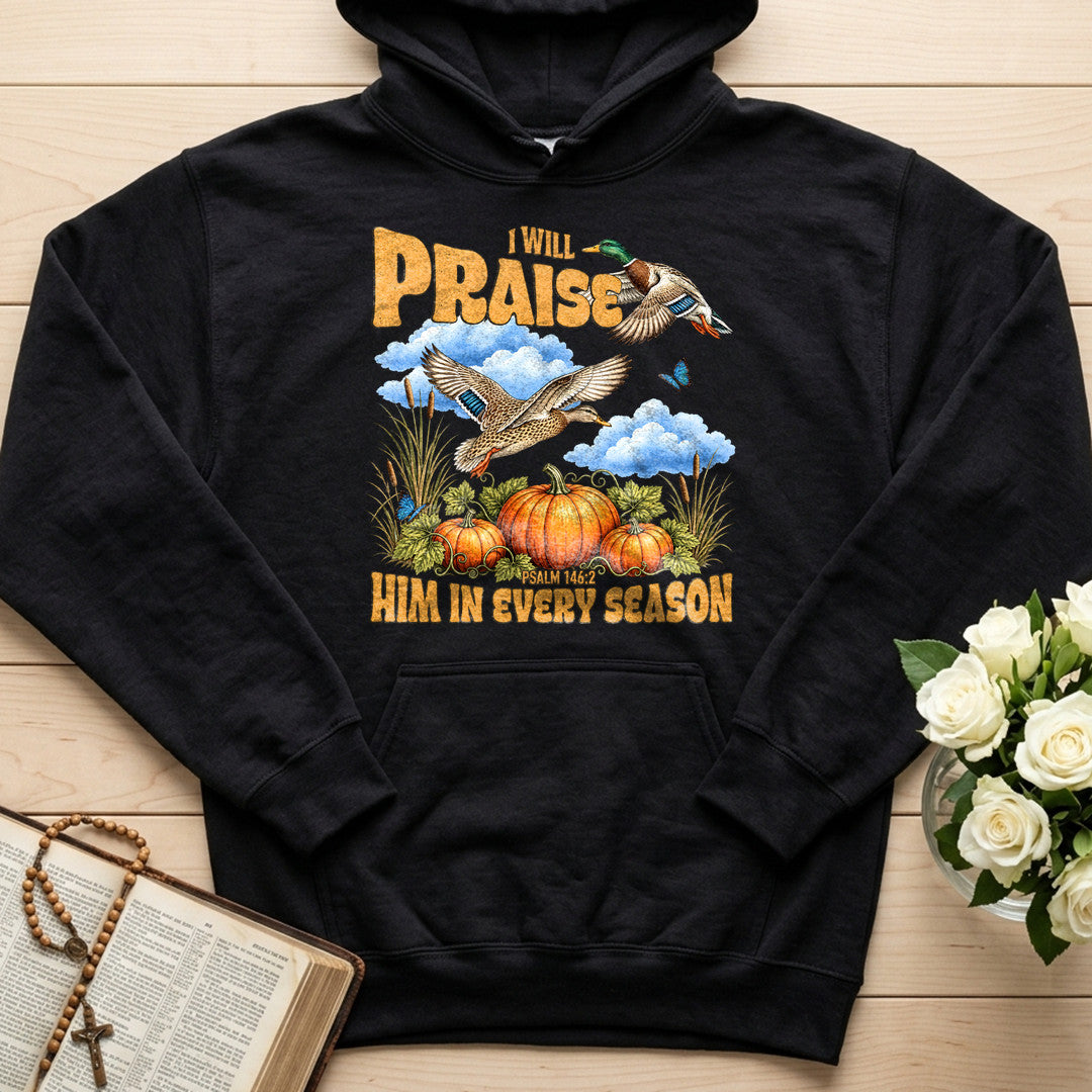 I Will Praise Him In Every Season Psalm 146.2 38