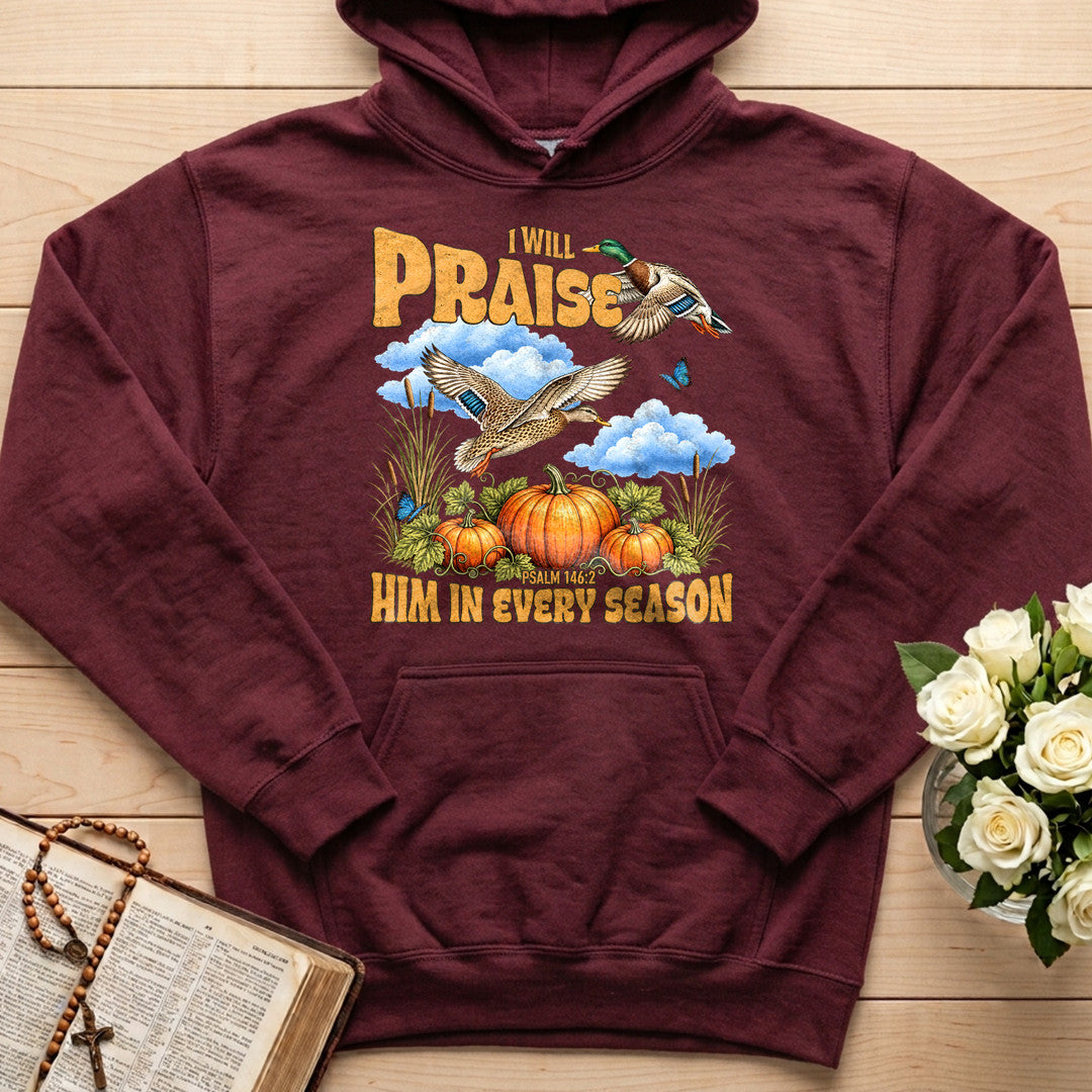 I Will Praise Him In Every Season Psalm 146.2 38