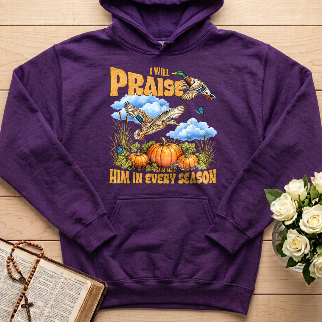 I Will Praise Him In Every Season Psalm 146.2 38