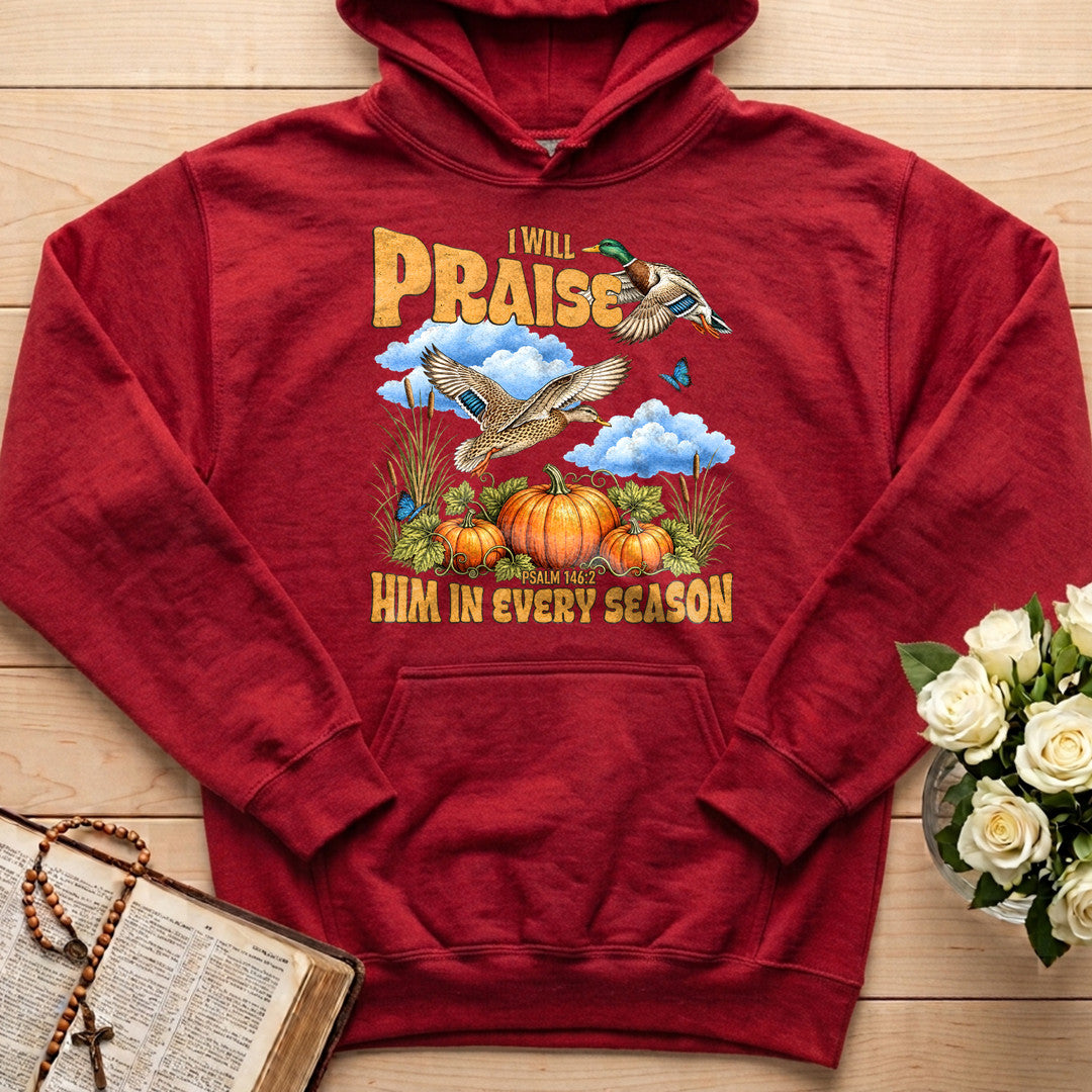 I Will Praise Him In Every Season Psalm 146.2 38