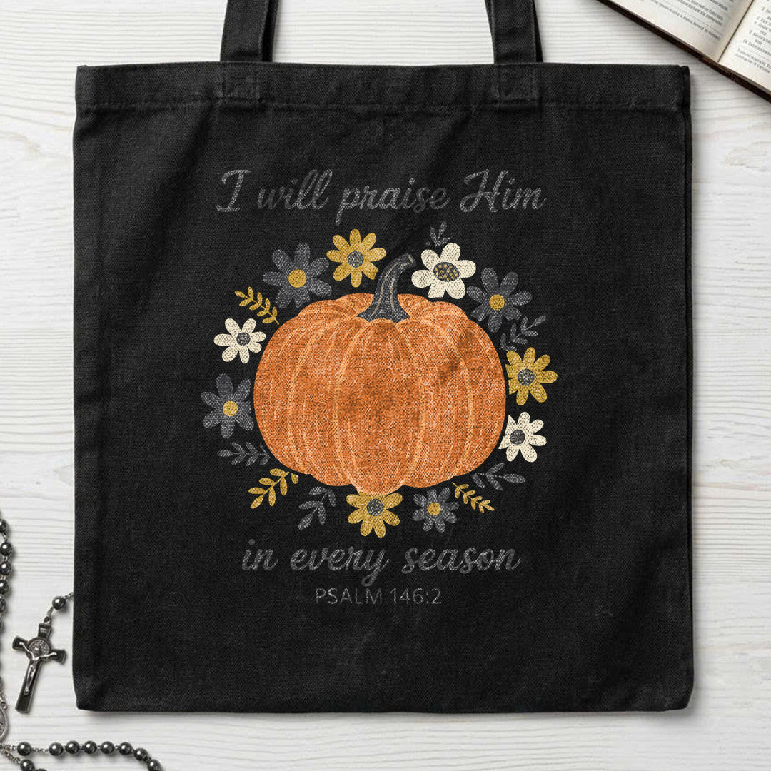 I Will Praise Him In Every Season Psalm 146.2 39