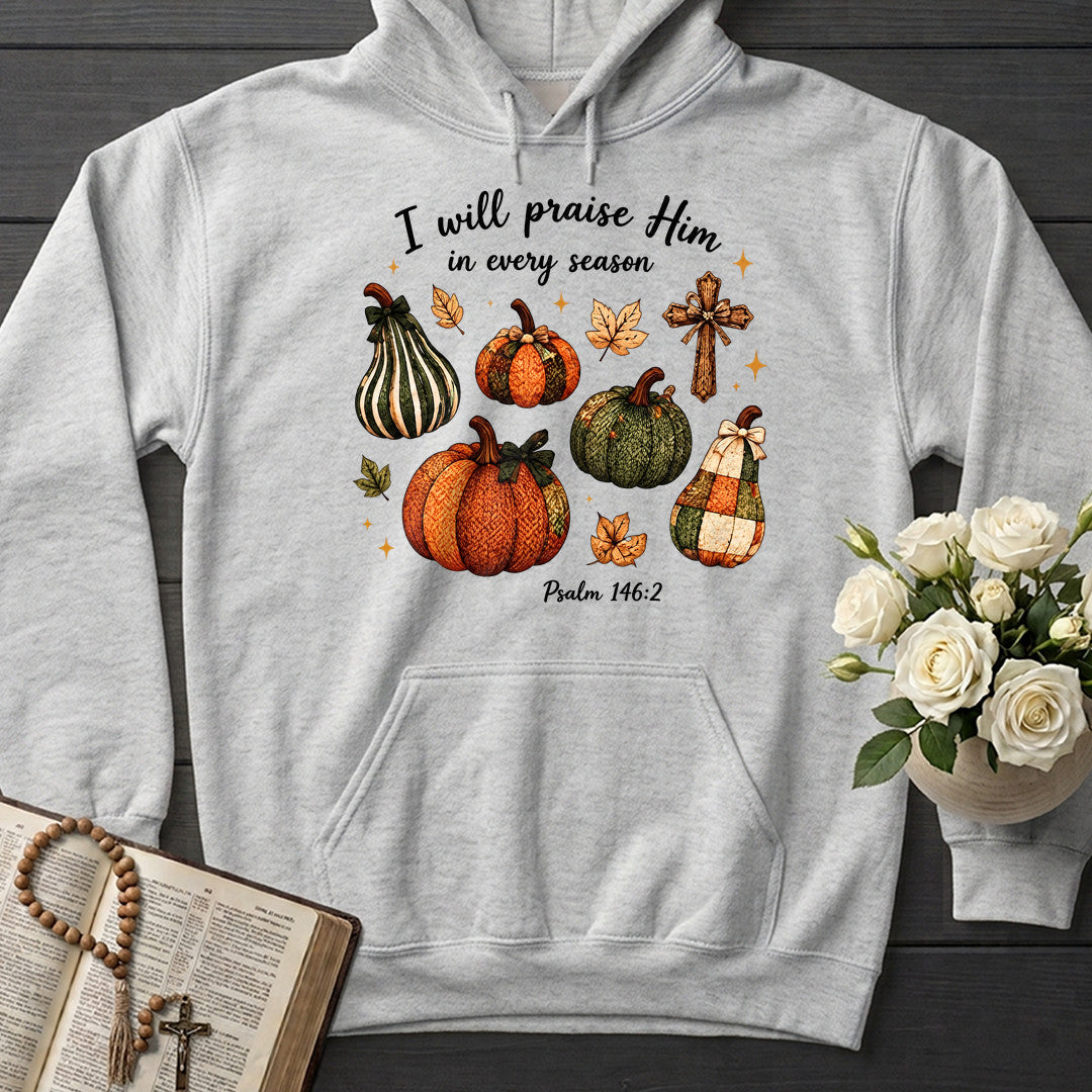 I Will Praise Him In Every Season Psalm 146.2 46