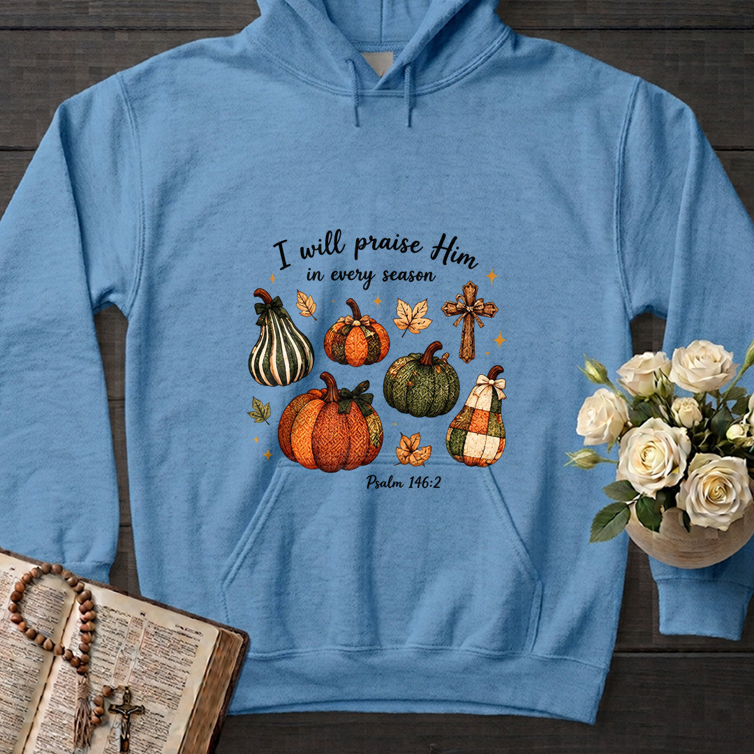 I Will Praise Him In Every Season Psalm 146.2 46