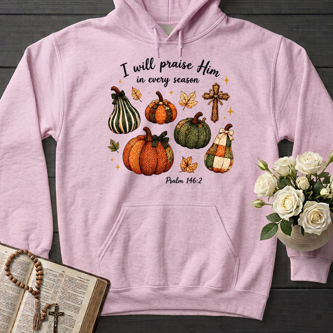 I Will Praise Him In Every Season Psalm 146.2 46