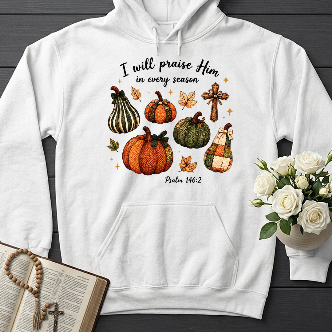 I Will Praise Him In Every Season Psalm 146.2 46