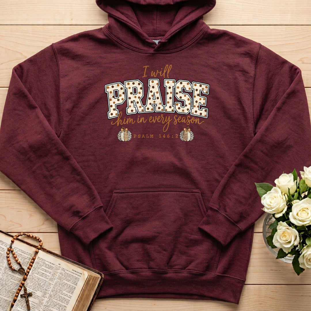 I Will Praise Him In Every Season Psalm 146.2 54