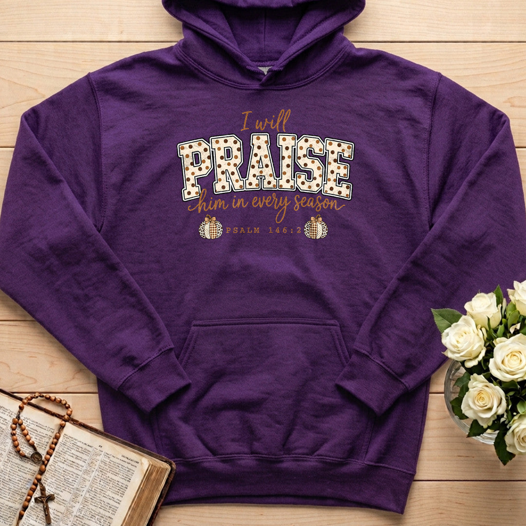 I Will Praise Him In Every Season Psalm 146.2 54