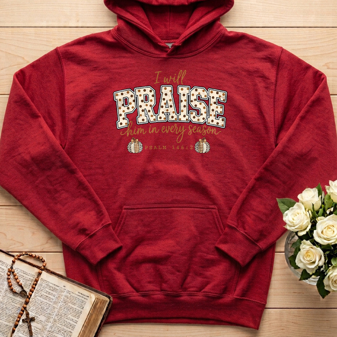 I Will Praise Him In Every Season Psalm 146.2 54