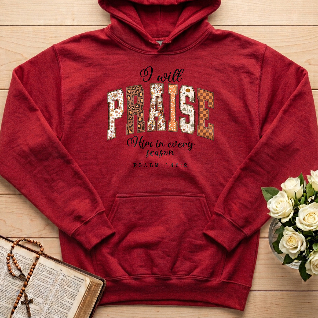 I Will Praise Him In Every Season Psalm 146.2 67