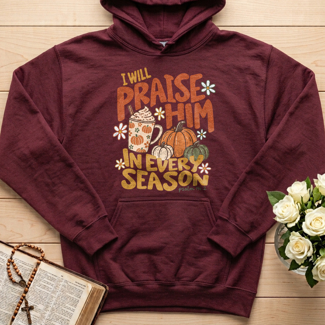 I Will Praise Him In Every Season Psalm 146.2 70