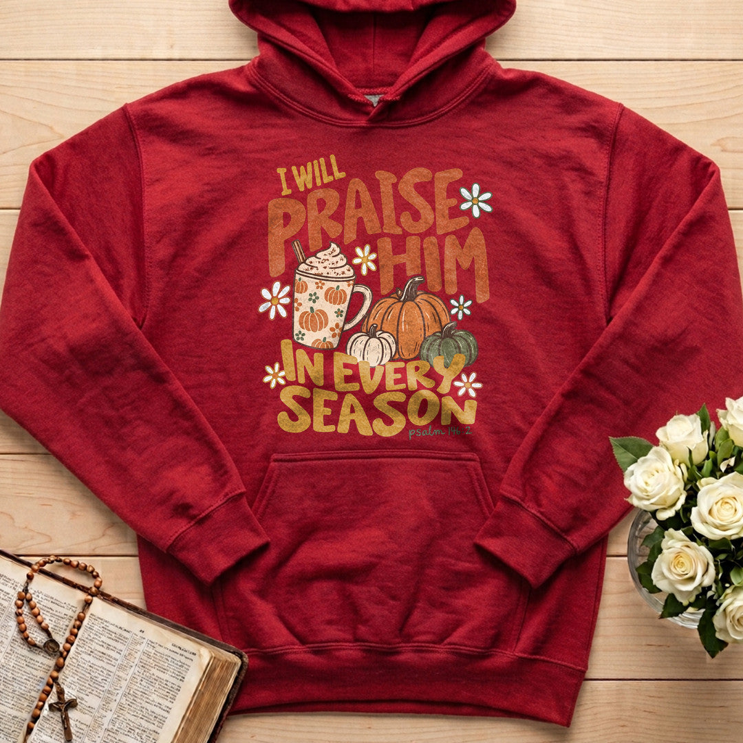I Will Praise Him In Every Season Psalm 146.2 70